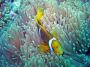 07Moorea - 20